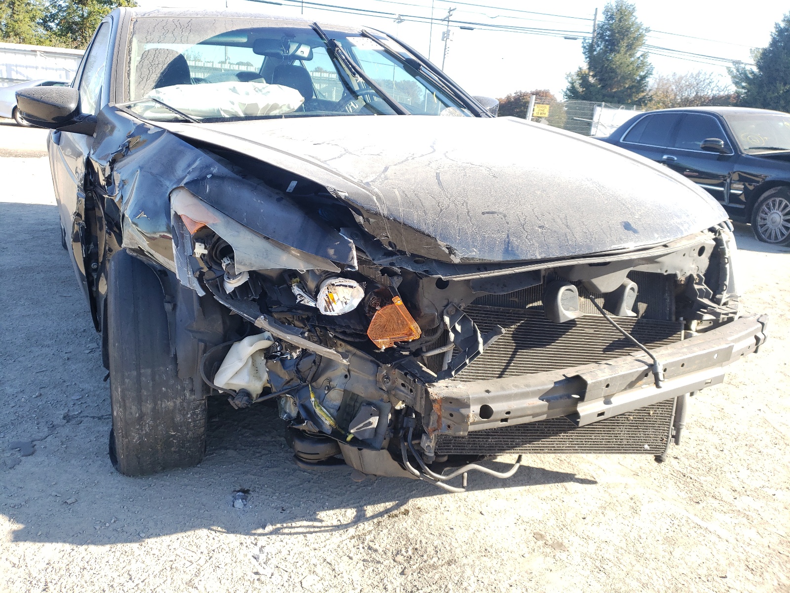 Photo 9 from auction – 2010 HONDA ACCORD EXL with VIN 1HGCP2F85AA053520
