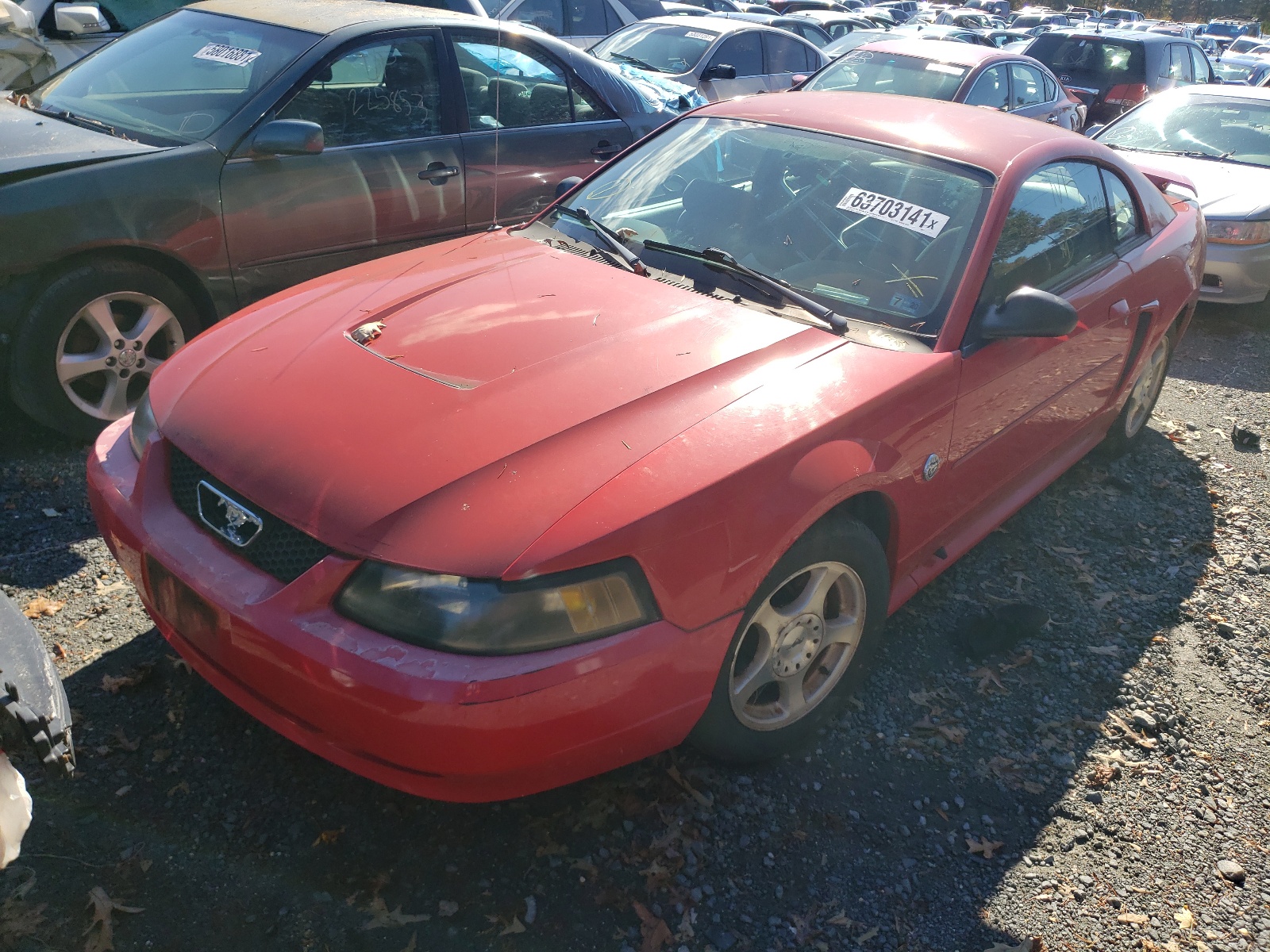Photo 2 from auction – 2004 FORD MUSTANG with VIN 1FAFP40694F145435