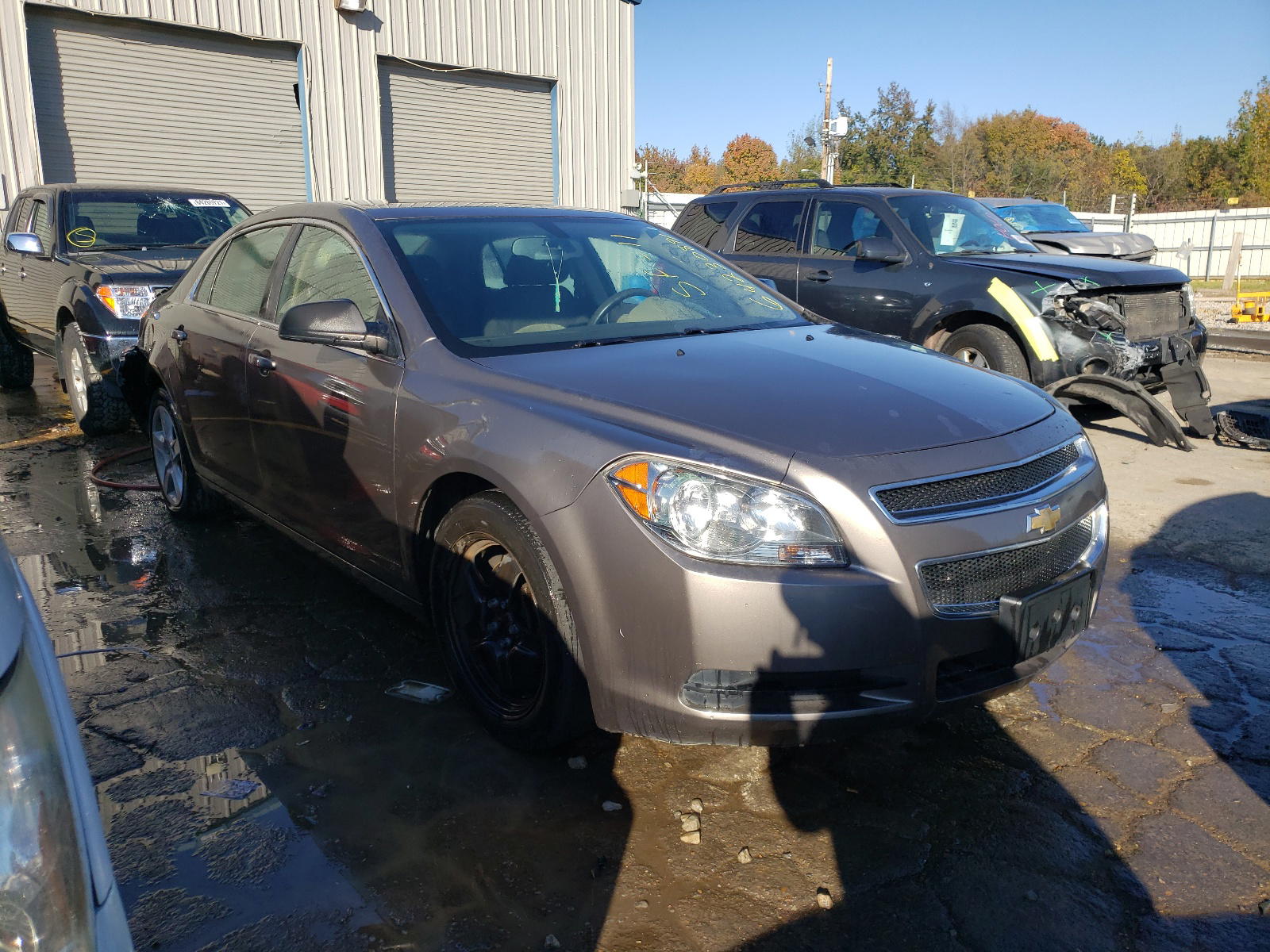 CHEVROLET MALIBU LS 2011 with VIN 1G1ZB5E17BF148669 - Photo from auction
