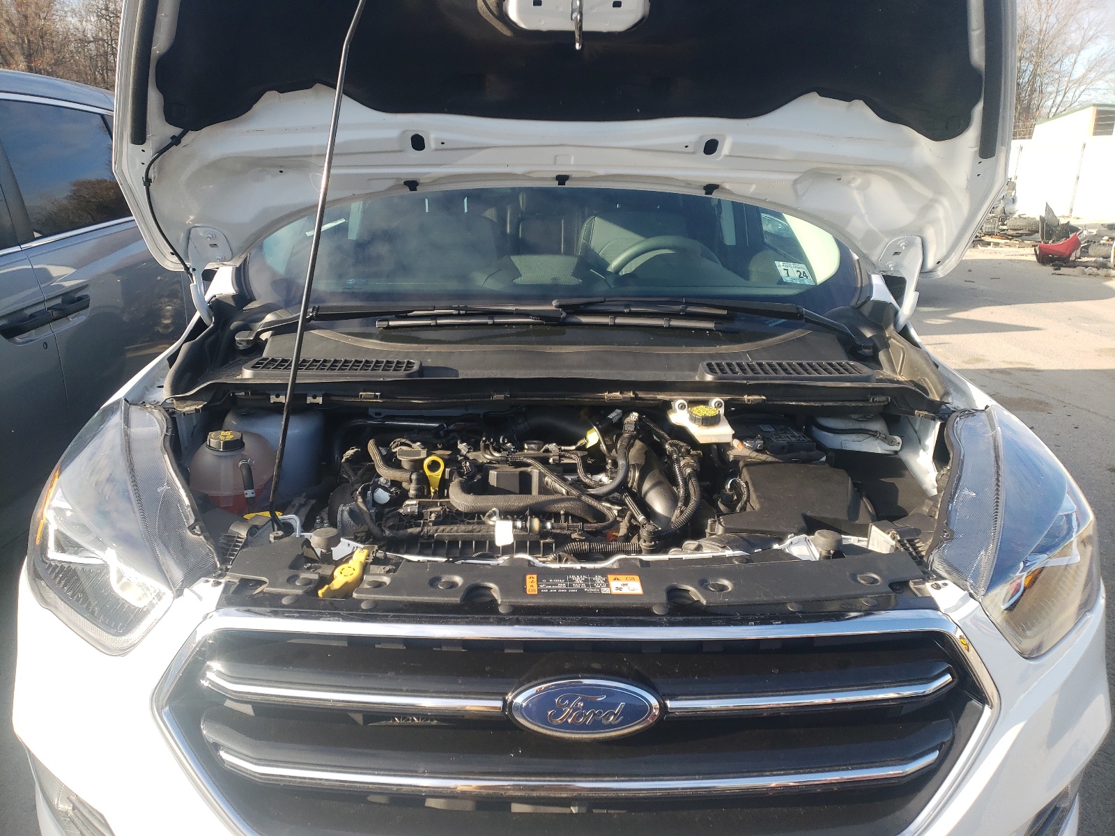 Photo 7 from auction – 2019 FORD ESCAPE SE with VIN 1FMCU0GD4KUB80729