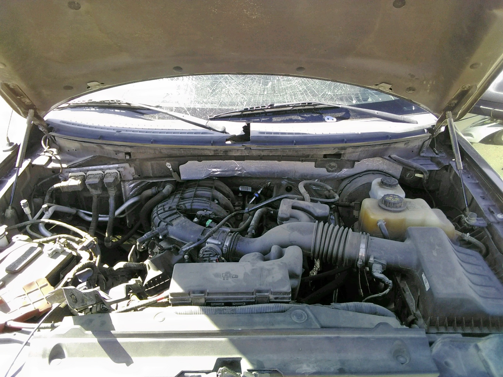 Photo 7 from auction – 2013 FORD F150 SUPER with VIN 1FTEW1CM0DKE94220