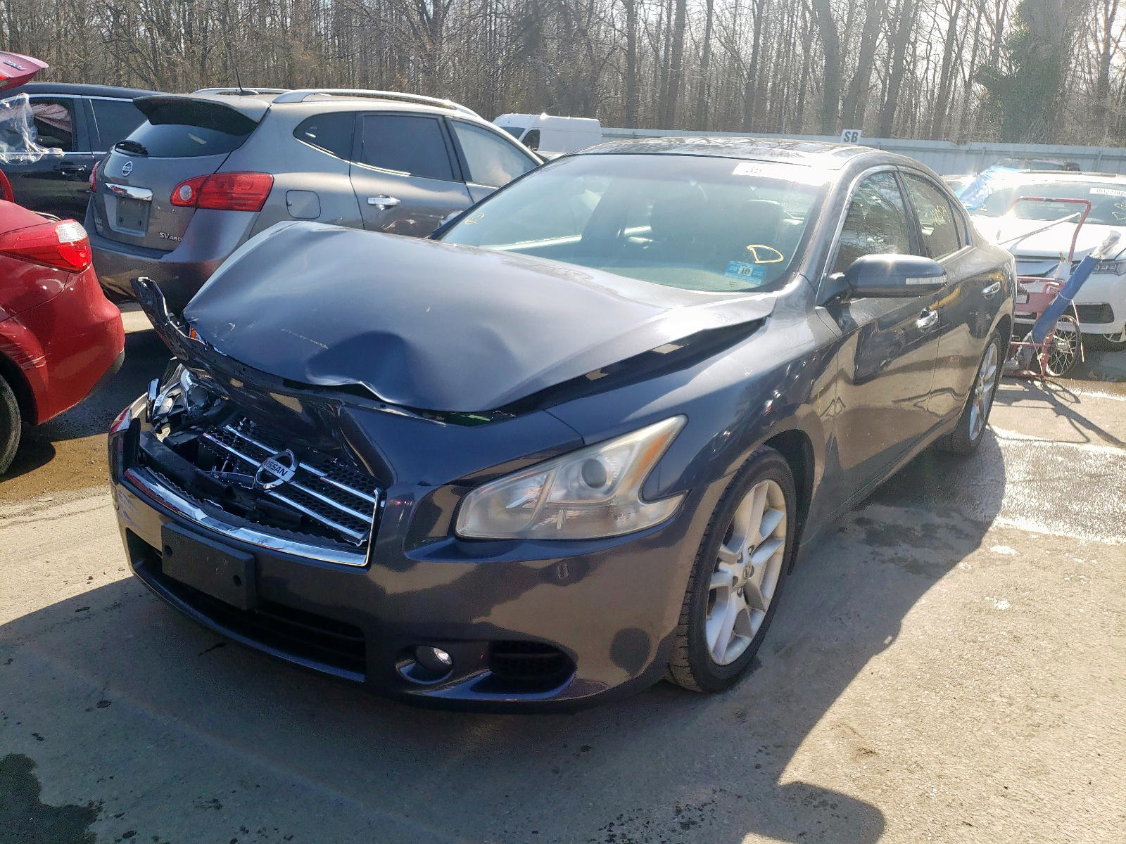 Photo 2 from auction – 2009 NISSAN MAXIMA S with VIN 1N4AA51E69C818407
