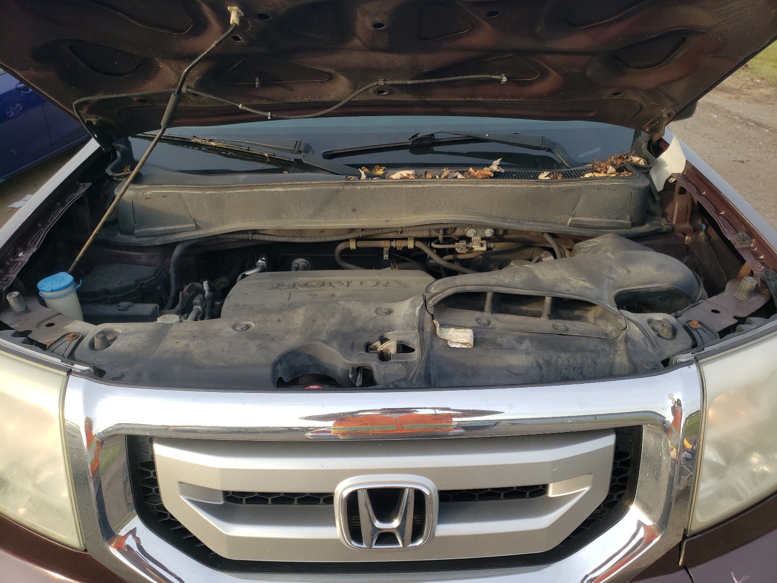 Photo 7 from auction – 2009 HONDA PILOT LX with VIN 5FNYF48219B054839
