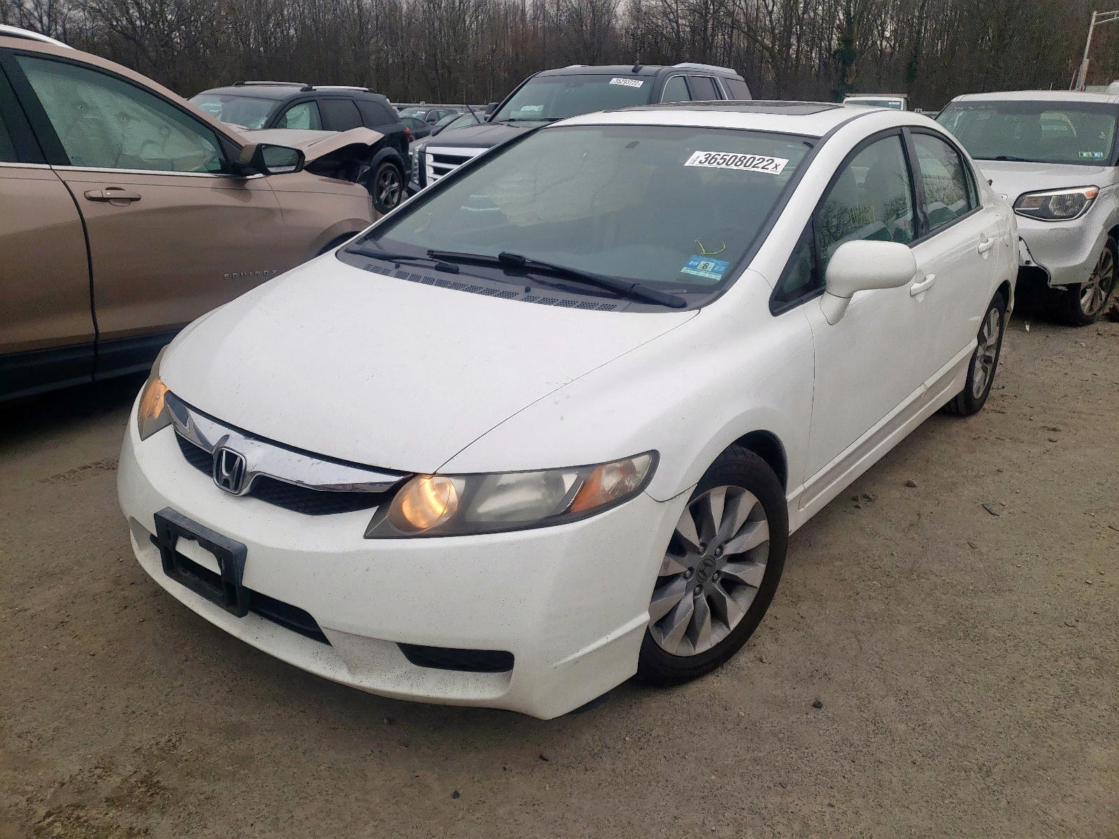 Photo 2 from auction – 2011 HONDA CIVIC EXL with VIN 19XFA1F91BE024367