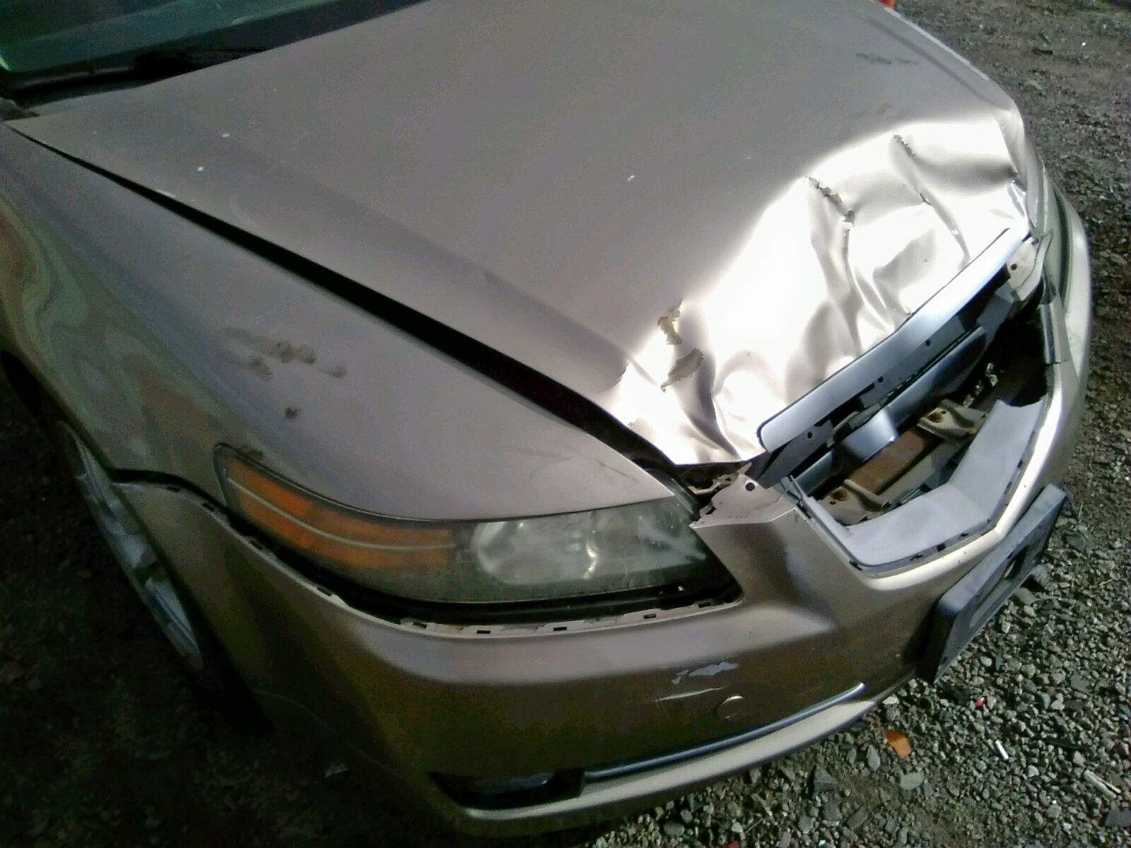 Photo 9 from auction – 2007 ACURA TL with VIN 19UUA66267A022861