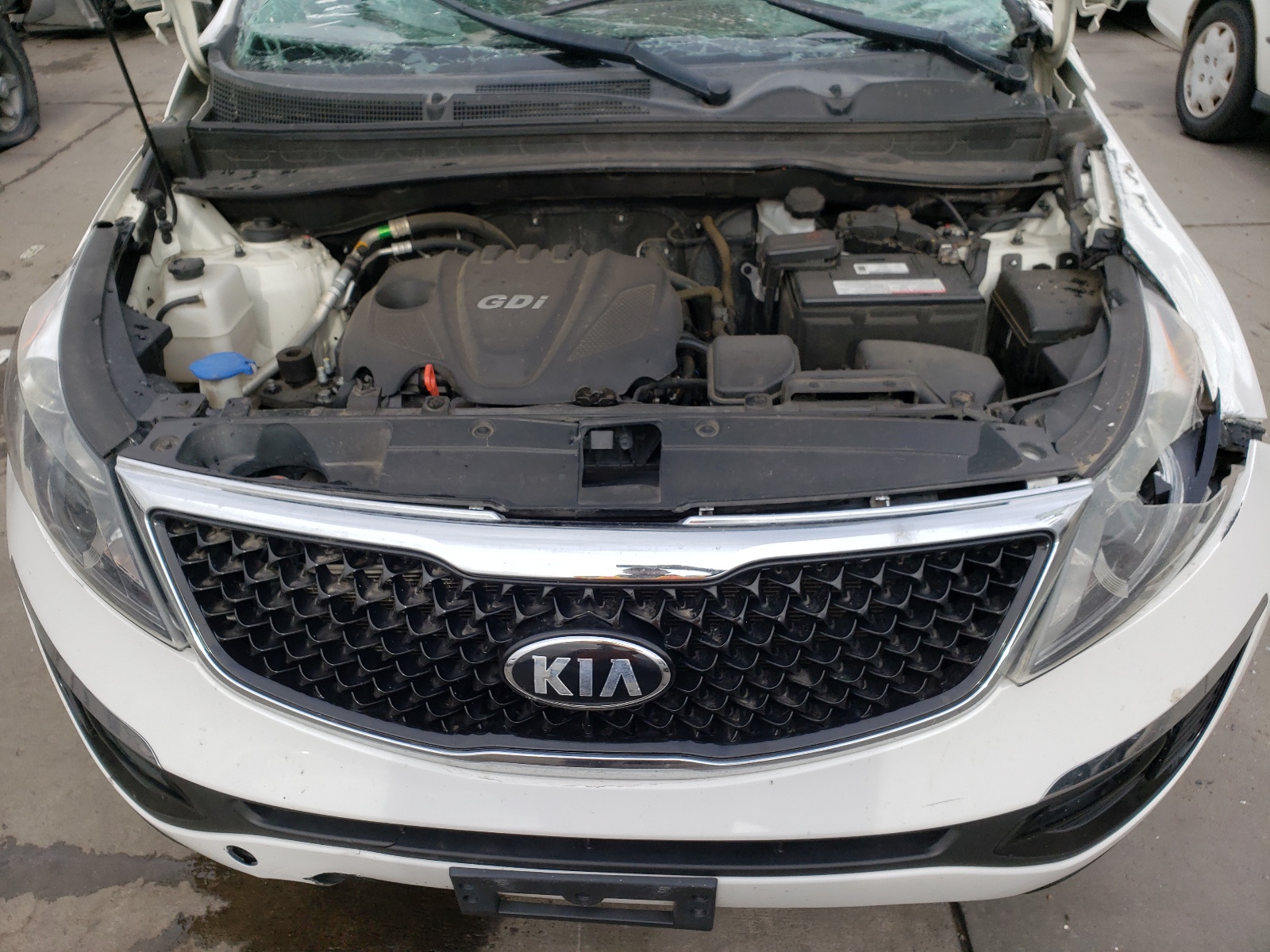 Photo 7 from auction – 2014 KIA SPORTAGE B with VIN KNDPB3ACXE7557757