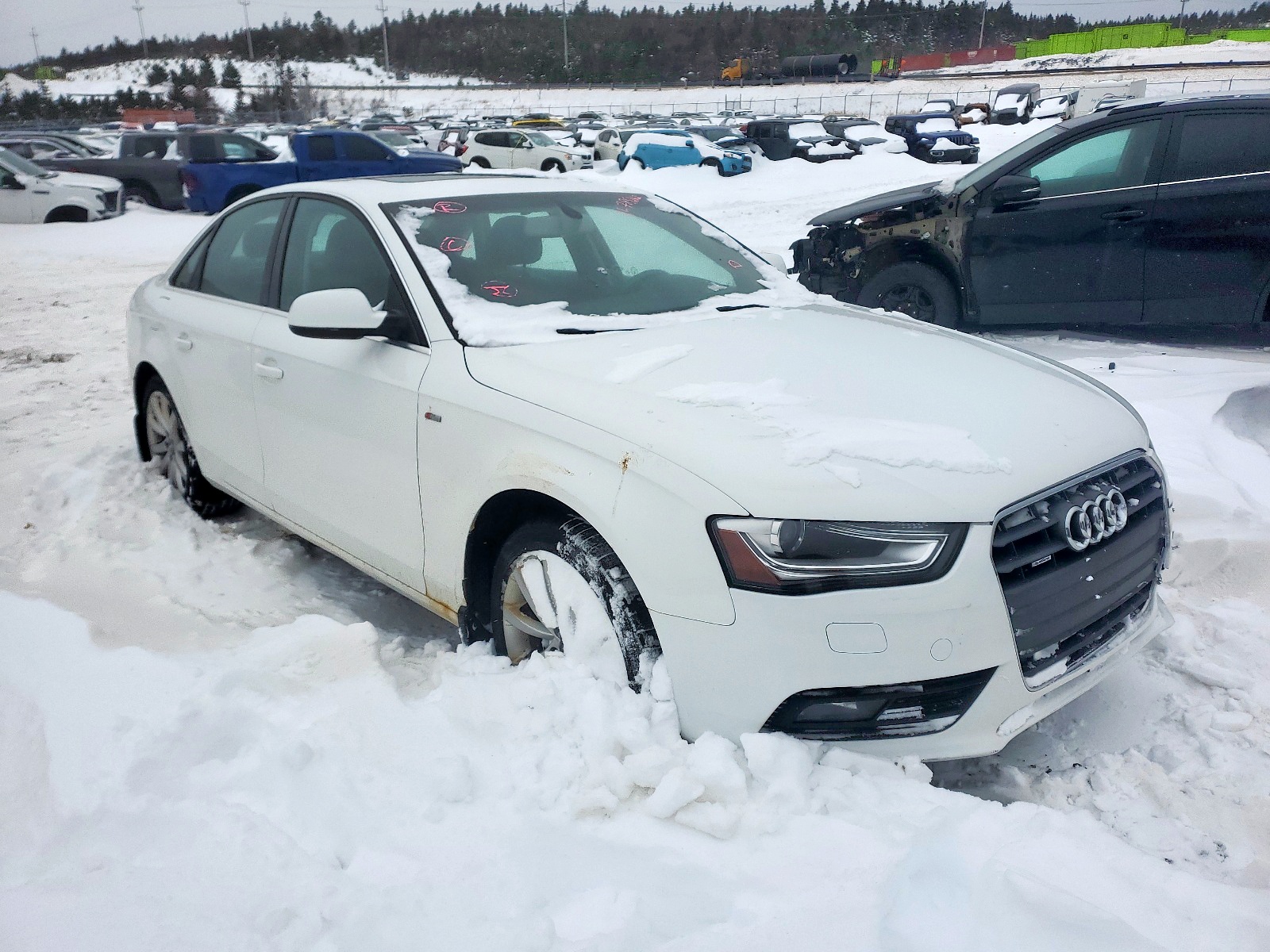 AUDI A4 PREMIUM 2014 with VIN WAUBFCFL9EN023911 - Photo from auction