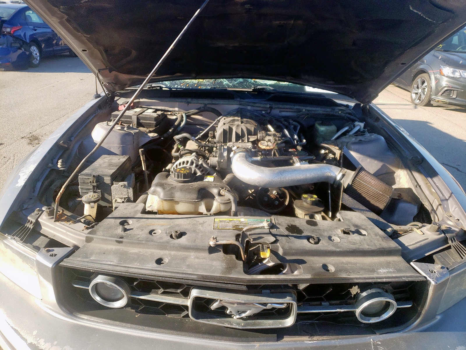 Photo 7 from auction – 2006 FORD MUSTANG with VIN 1ZVHT84N765102421
