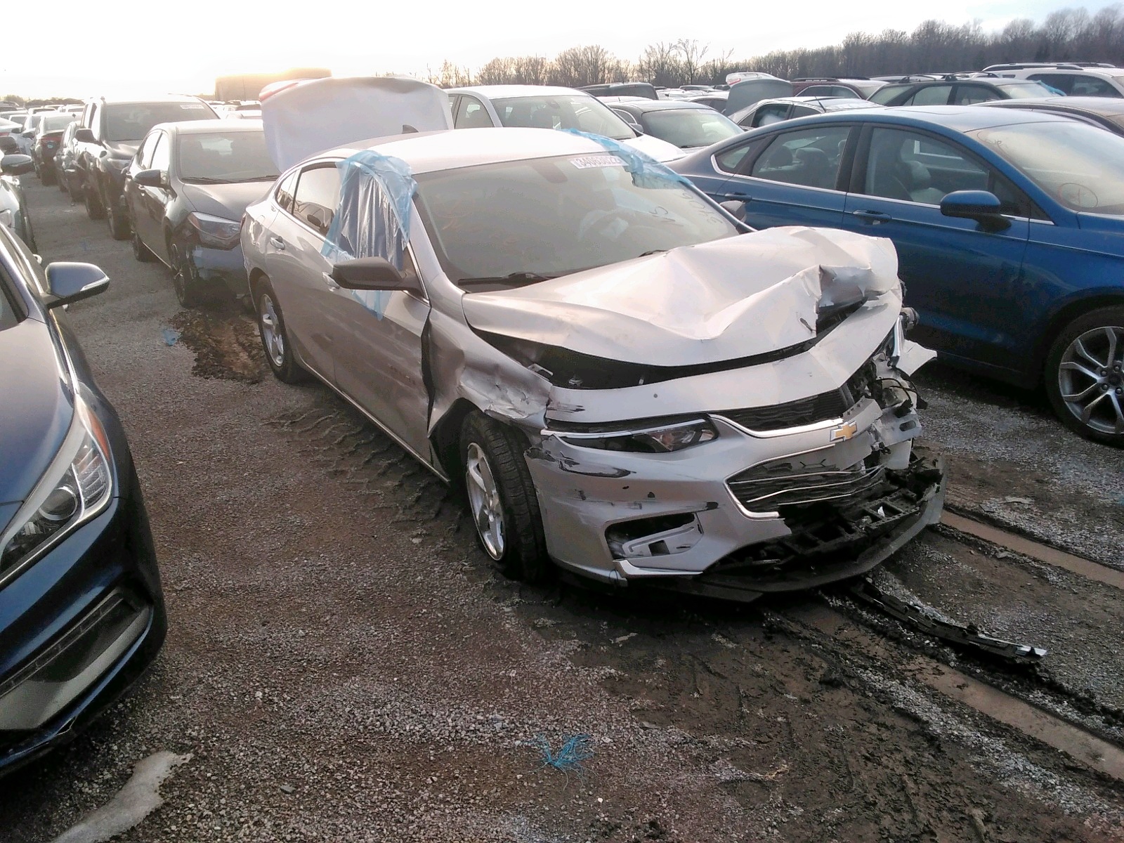 Photo 1 from auction – 2016 CHEVROLET MALIBU LS with VIN 1G1ZB5ST5GF310943