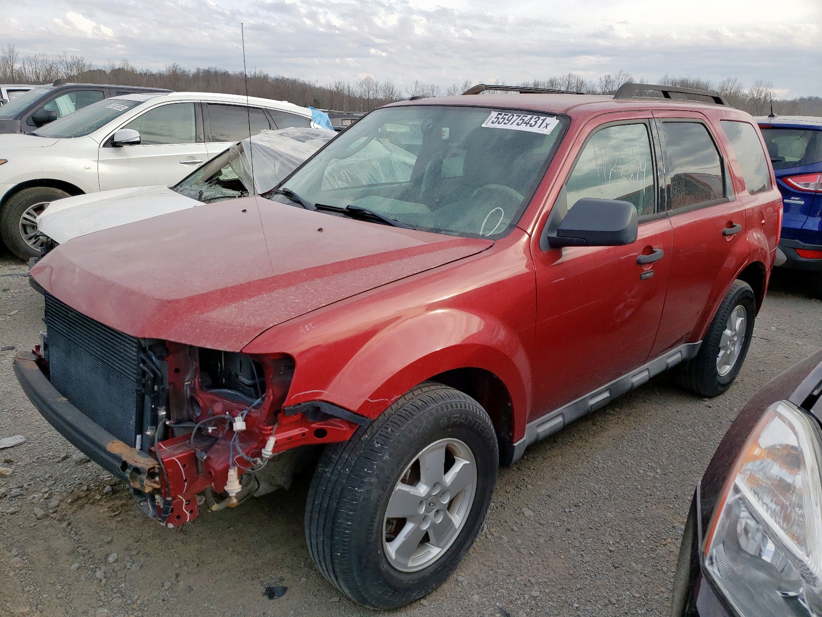 Photo 2 from auction – 2010 FORD ESCAPE XLT with VIN 1FMCU9D74AKC91794