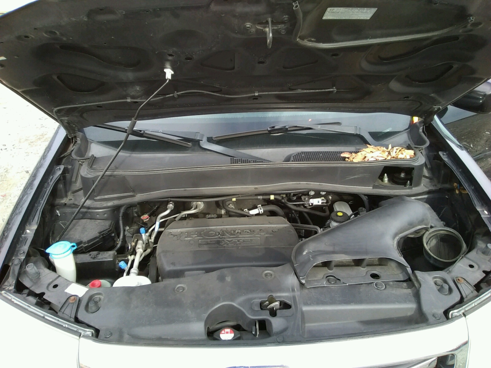 Zdjęcie 7 z aukcji – 2014 HONDA PILOT EXL z VIN 5FNYF4H54EB009611