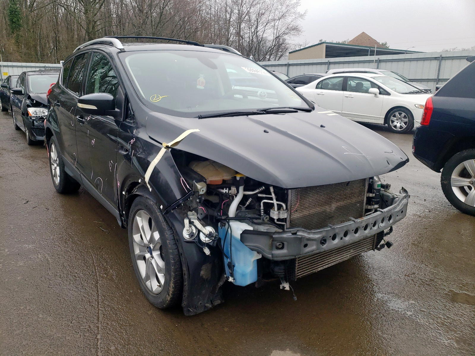 FORD ESCAPE TIT 2014 with VIN 1FMCU9J90EUE19609 - Photo from auction