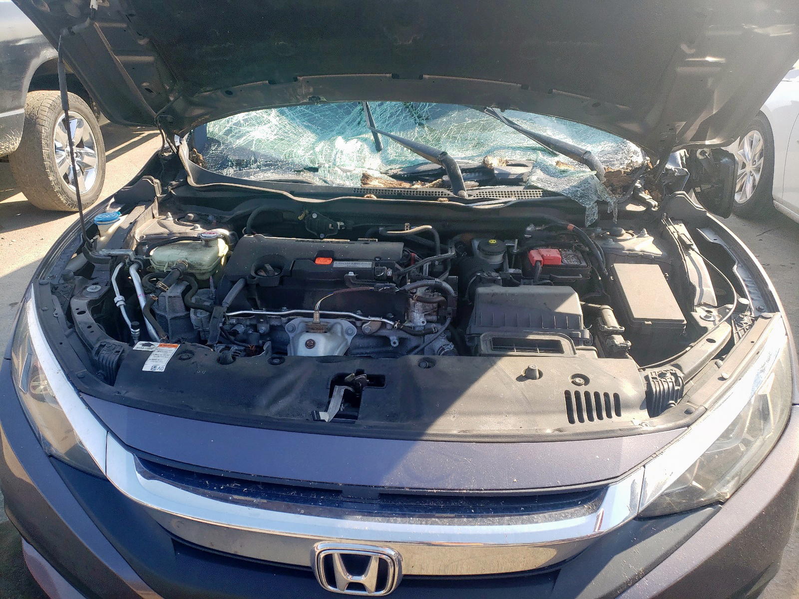 Photo 7 from auction – 2016 HONDA CIVIC EX with VIN 19XFC2F7XGE239705