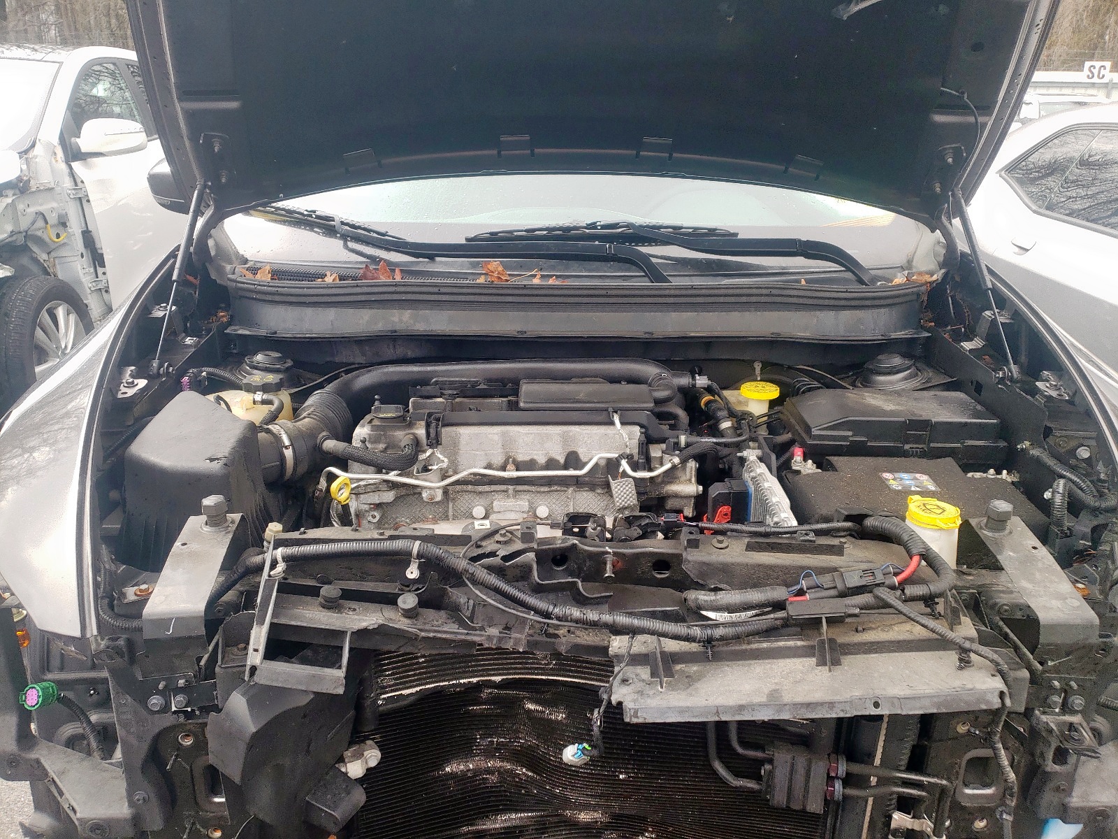 Photo 7 from auction – 2014 JEEP CHEROKEE L with VIN 1C4PJMDB6EW191295