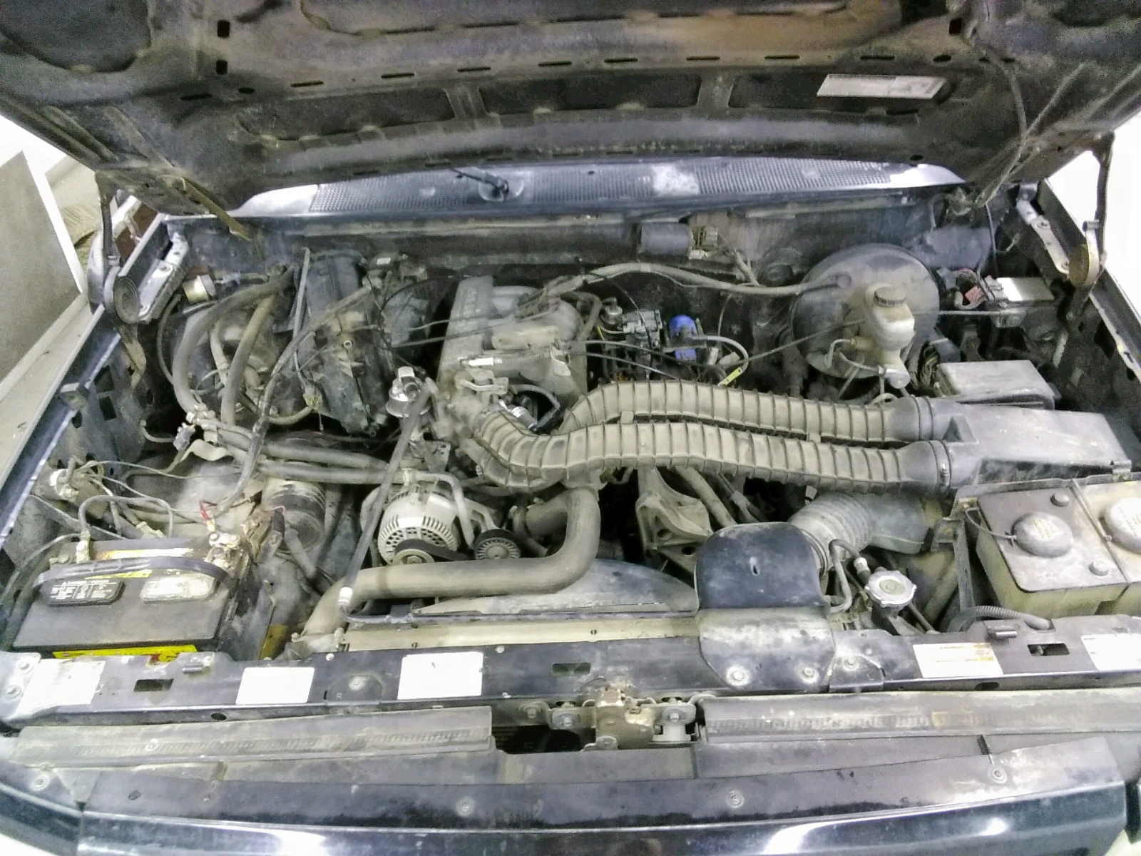 Photo 7 from auction – 1993 FORD BRONCO U10 with VIN 1FMEU15H7PLA08390