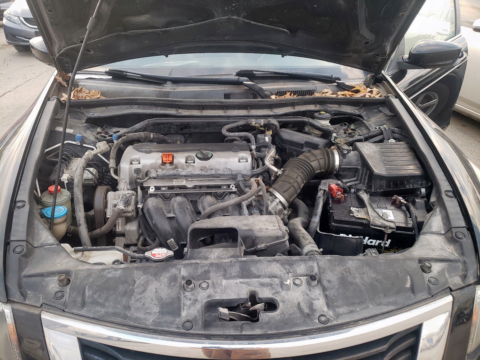 Photo 7 from auction – 2010 HONDA ACCORD EXL with VIN 1HGCP2F87AA132204