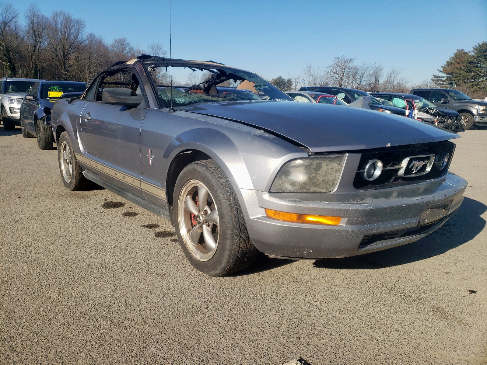 Photo 1 from auction – 2006 FORD MUSTANG with VIN 1ZVHT84N765102421