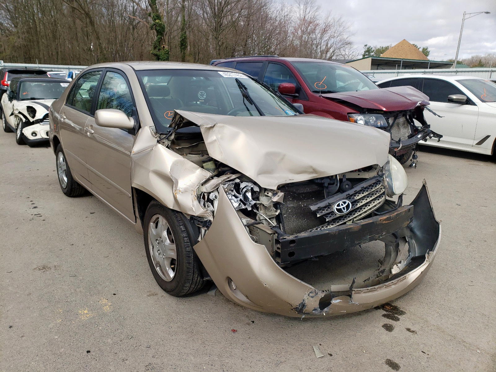 TOYOTA COROLLA CE 2006 with VIN 2T1BR32E96C594000 - Photo from auction