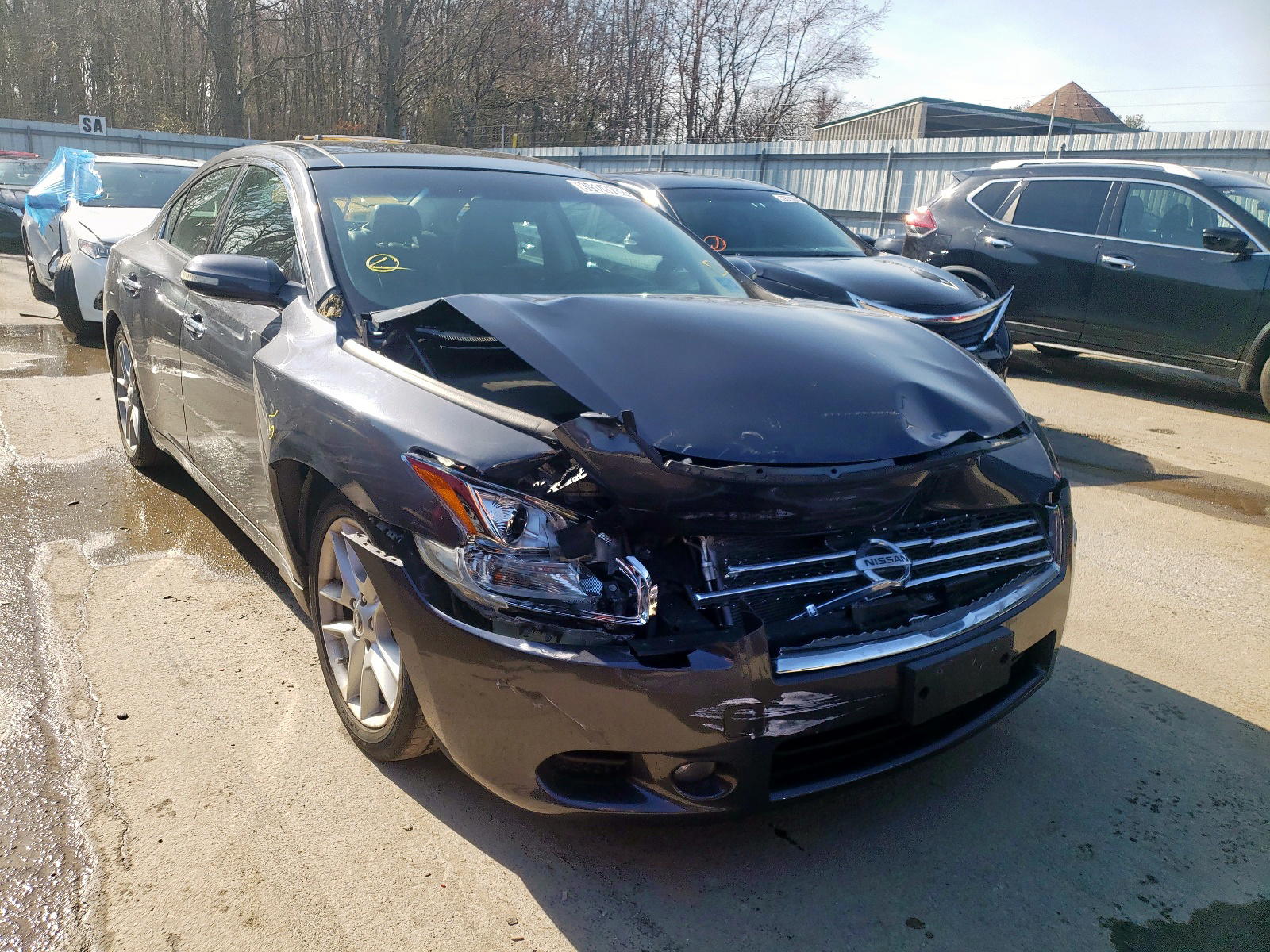 NISSAN MAXIMA S 2009 with VIN 1N4AA51E69C818407 - Photo from auction