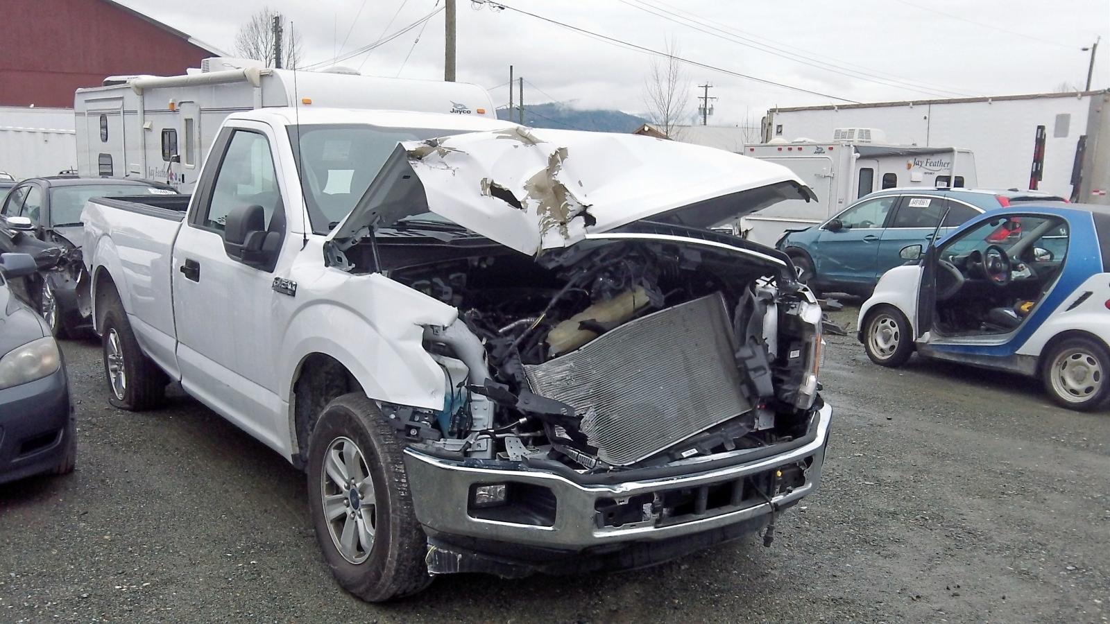 FORD F150 2019 with VIN 1FTMF1C58KKD66339 - Photo from auction