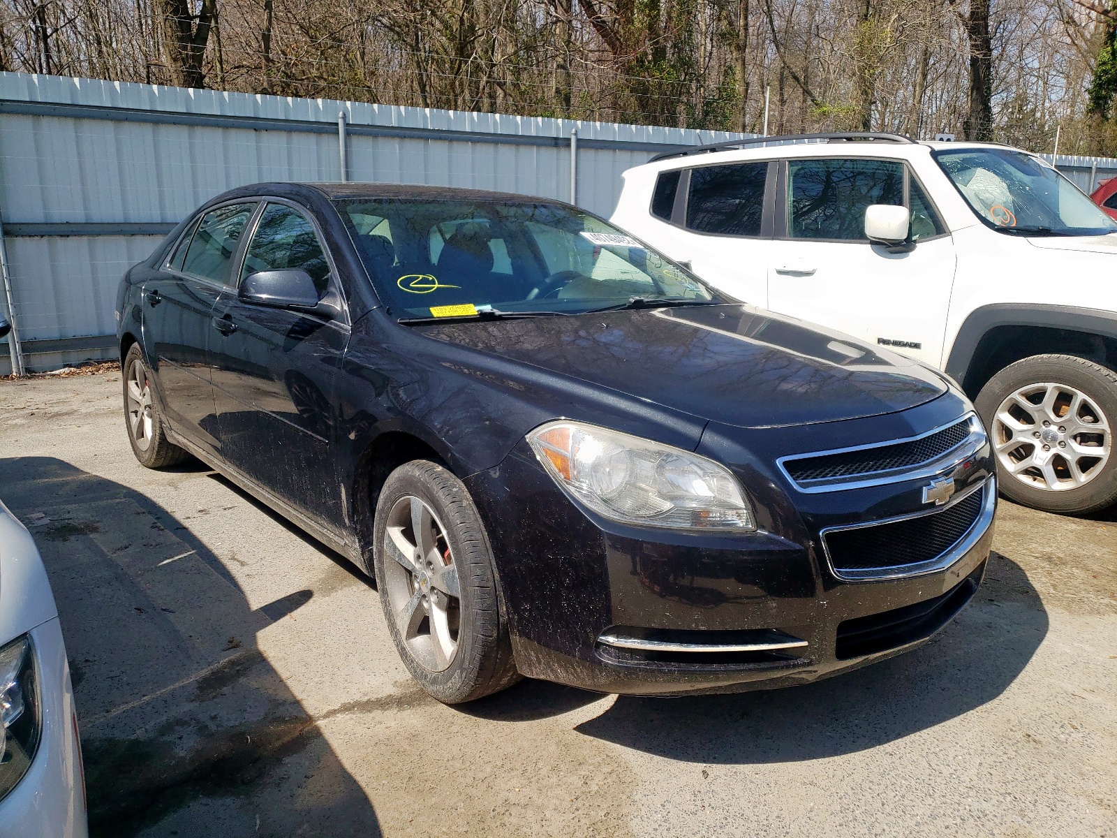 CHEVROLET MALIBU 1LT 2011 with VIN 1G1ZC5EU5BF192631 - Photo from auction