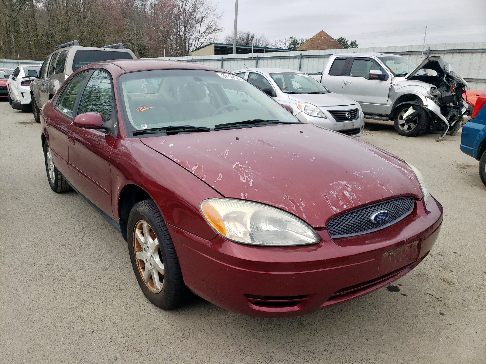 FORD TAURUS SEL 2007 с VIN 1FAFP56U37A126649 - Фото с аукциона