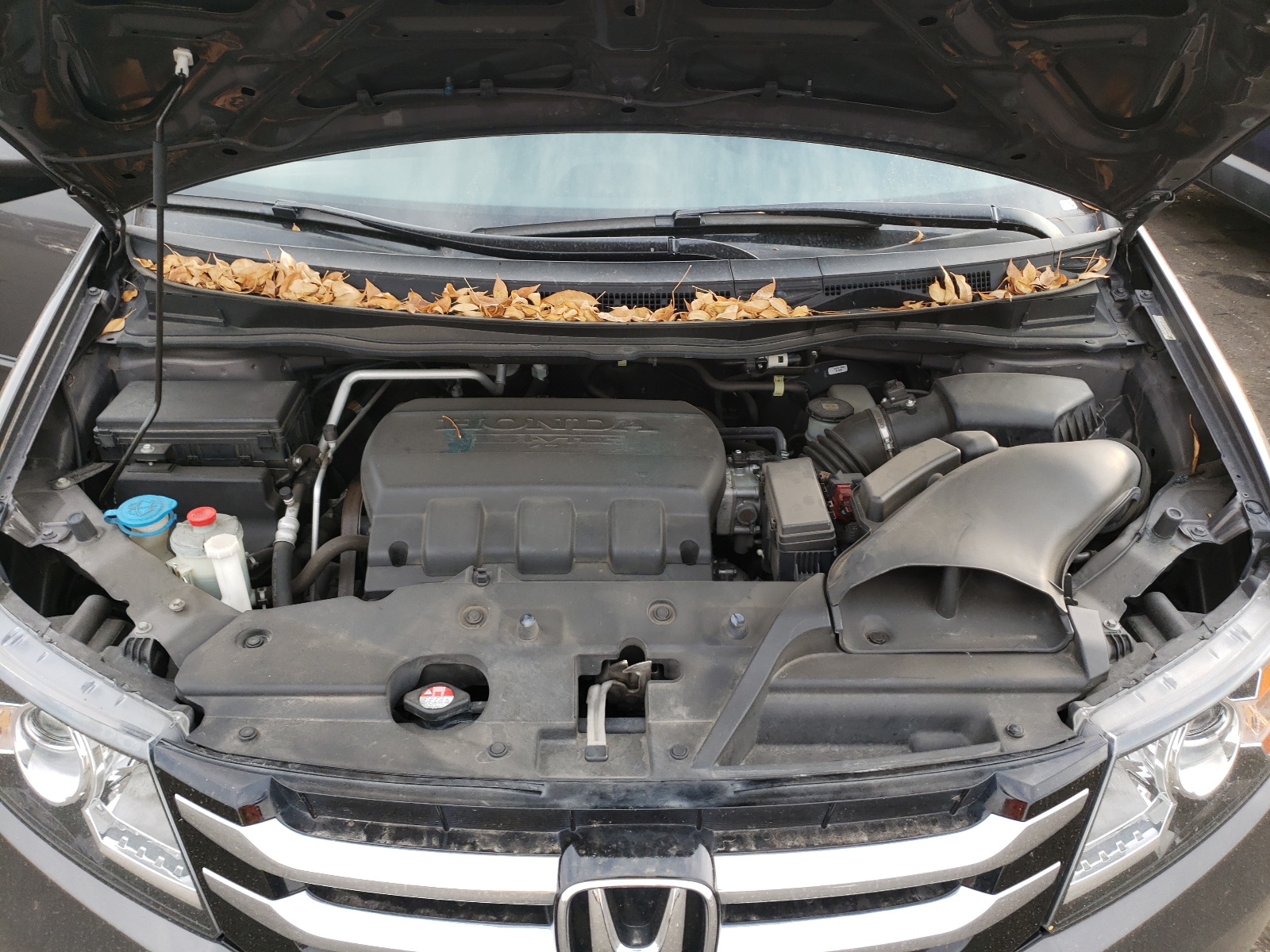 Photo 7 from auction – 2014 HONDA ODYSSEY EX with VIN 5FNRL5H60EB071602