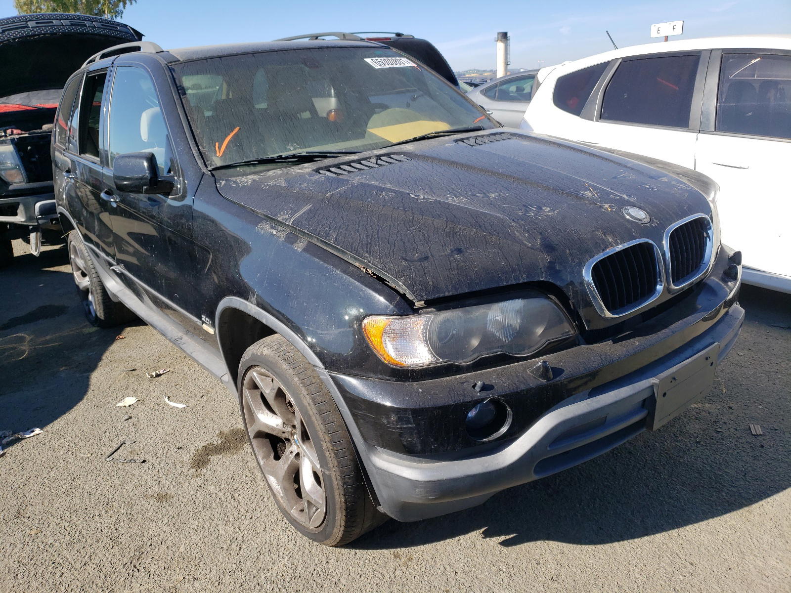 BMW X5 3.0I 2003 with VIN 5UXFA53523LV76637 - Photo from auction
