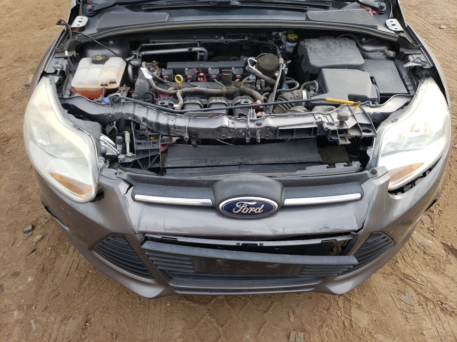 Photo 9 from auction – 2014 FORD FOCUS TITA with VIN 1FADP3E21EL452706