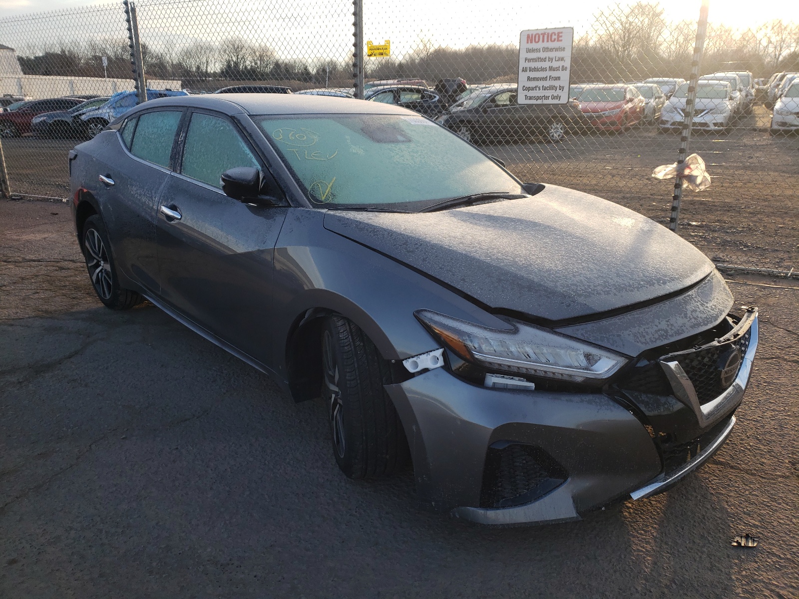 Photo 1 from auction – 2021 NISSAN MAXIMA SV with VIN 1N4AA6CVXMC515853