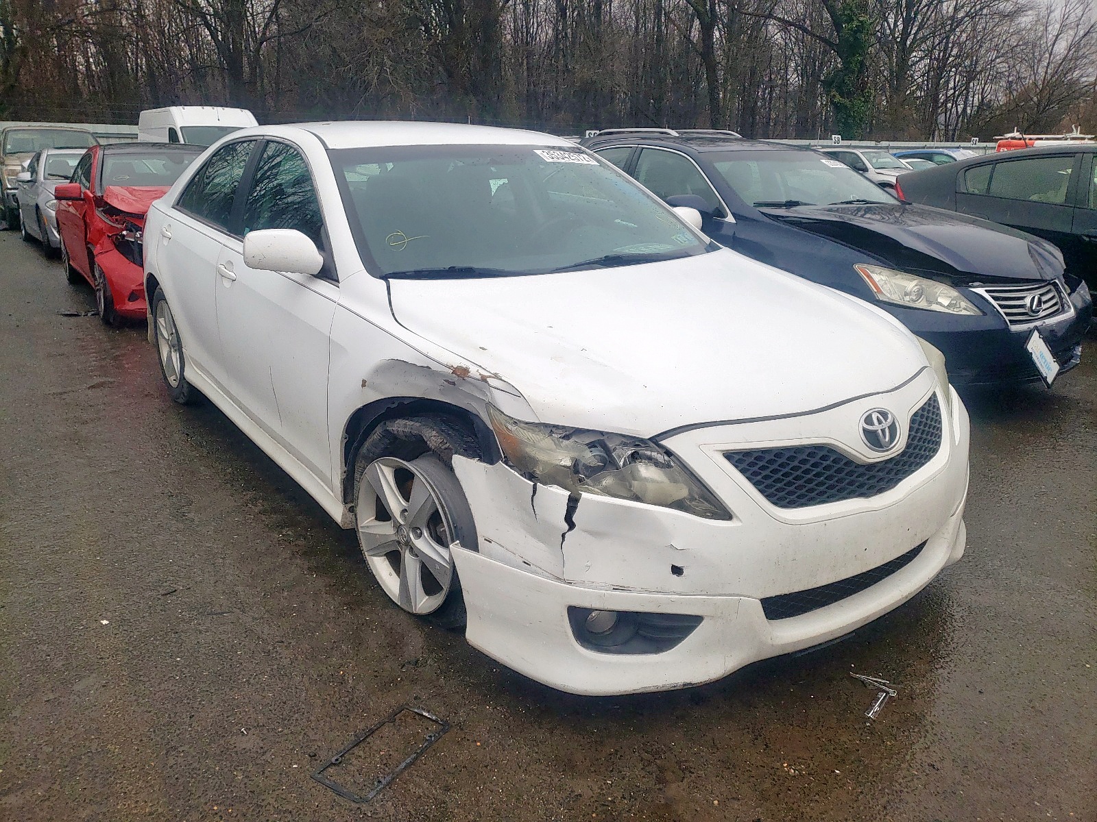 TOYOTA CAMRY BASE 2010 with VIN 4T1BF3EK5AU514001 - Photo from auction