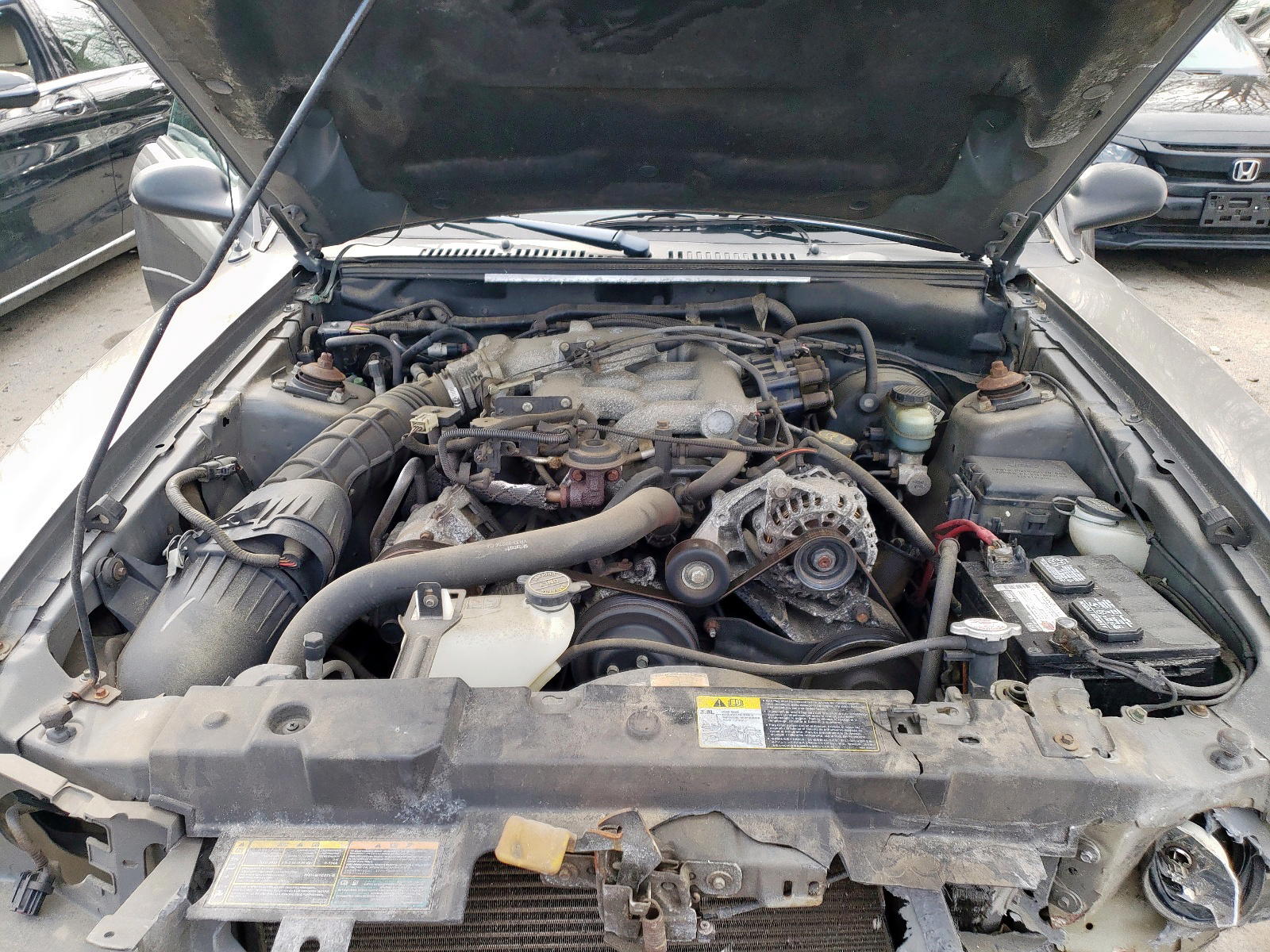 Photo 7 from auction – 2001 FORD MUSTANG with VIN 1FAFP40401F162263