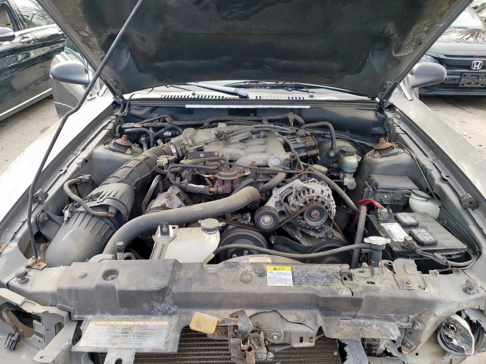 Zdjęcie 7 z aukcji – 2001 FORD MUSTANG z VIN 1FAFP40401F162263