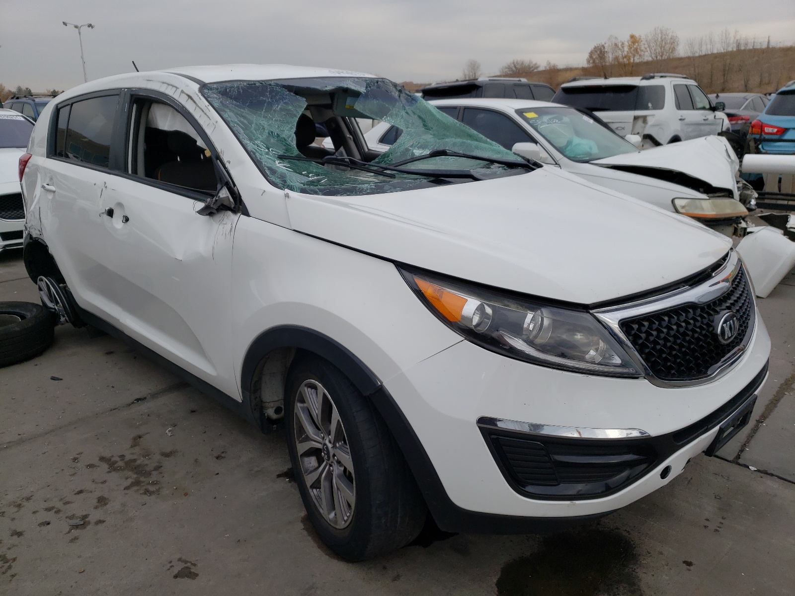 KIA SPORTAGE B 2014 with VIN KNDPB3ACXE7557757 - Photo from auction