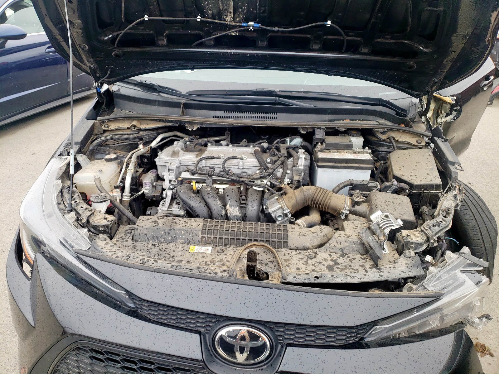 Photo 7 from auction – 2021 TOYOTA COROLLA LE with VIN 5YFEPMAE2MP175171