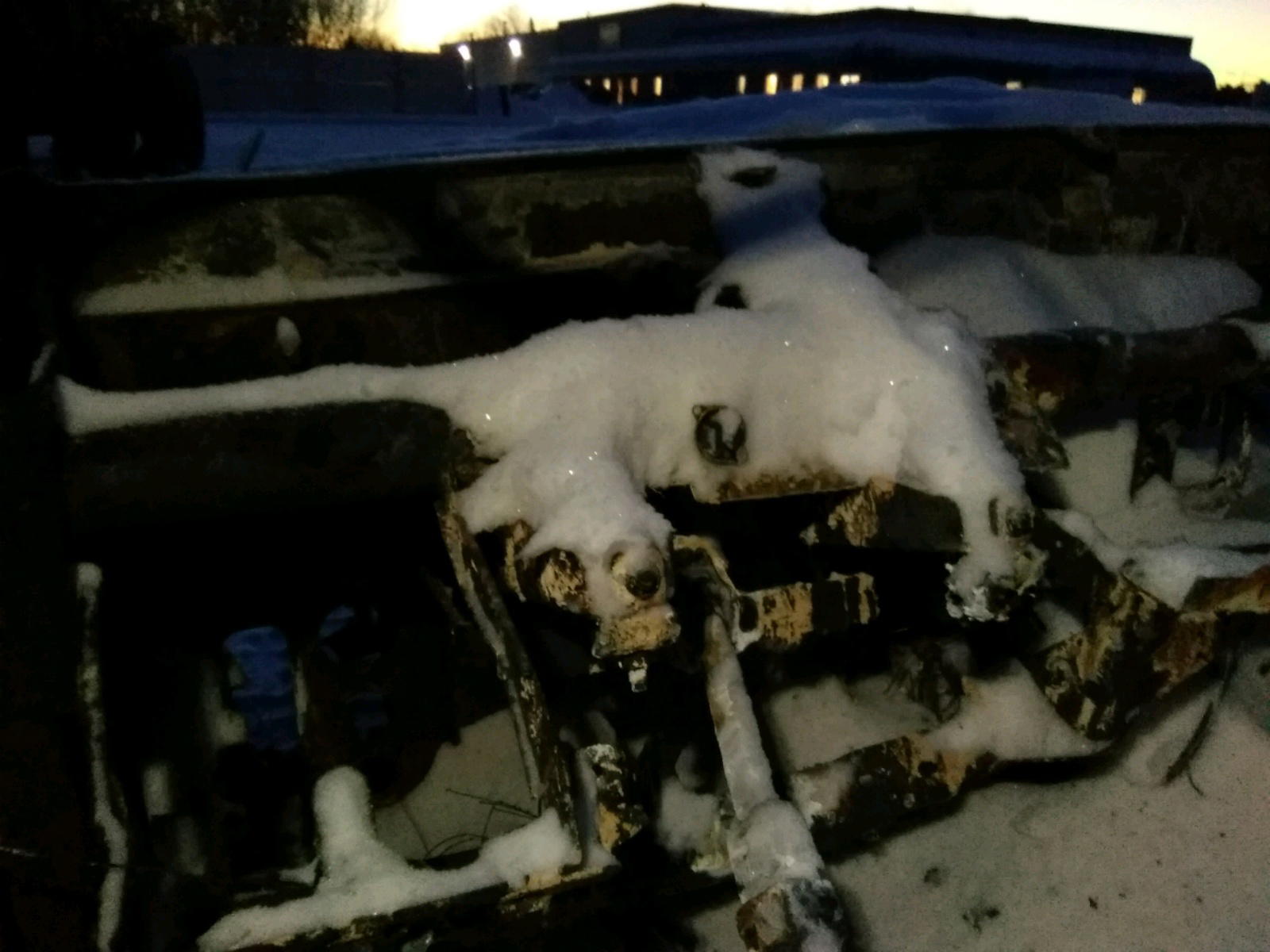 Photo 8 from auction – 2004 FORD EXCURSION with VIN 1FMNU45S14EC36236