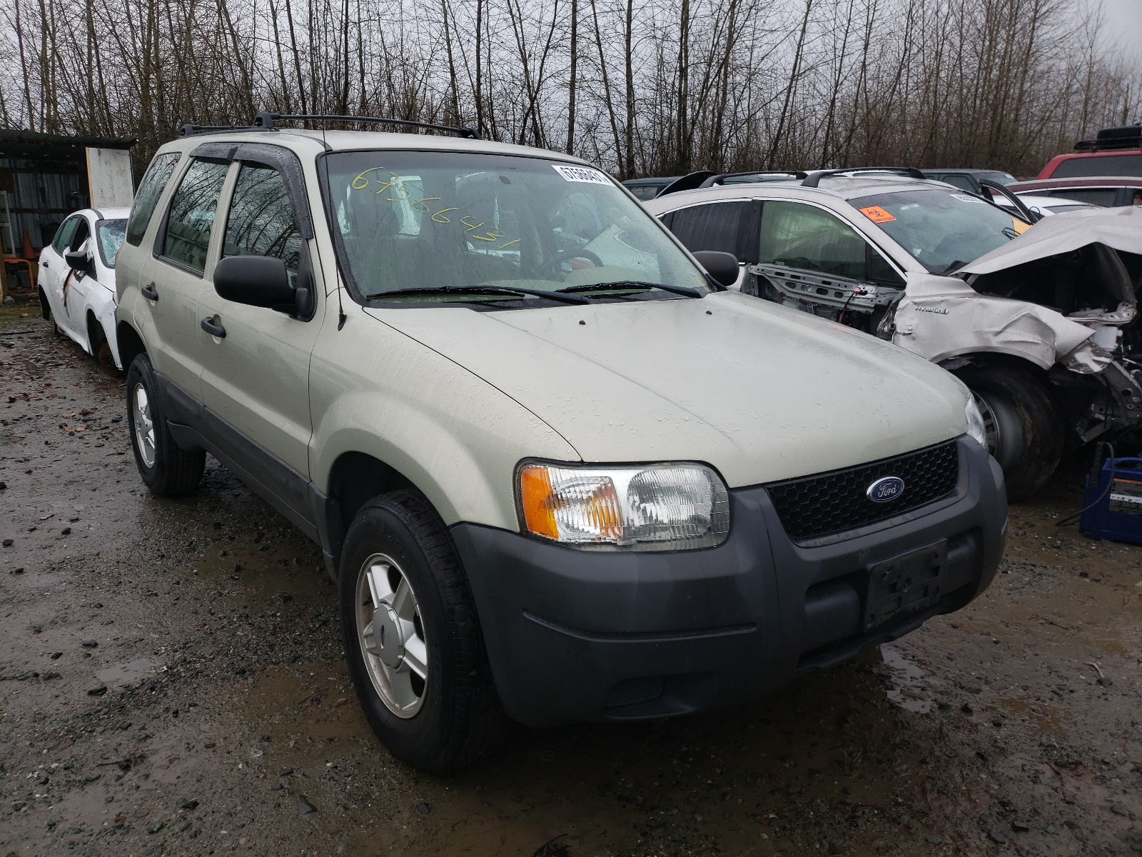 Photo 1 from auction – 2003 FORD ESCAPE XLS with VIN 1FMYU02153KB24055