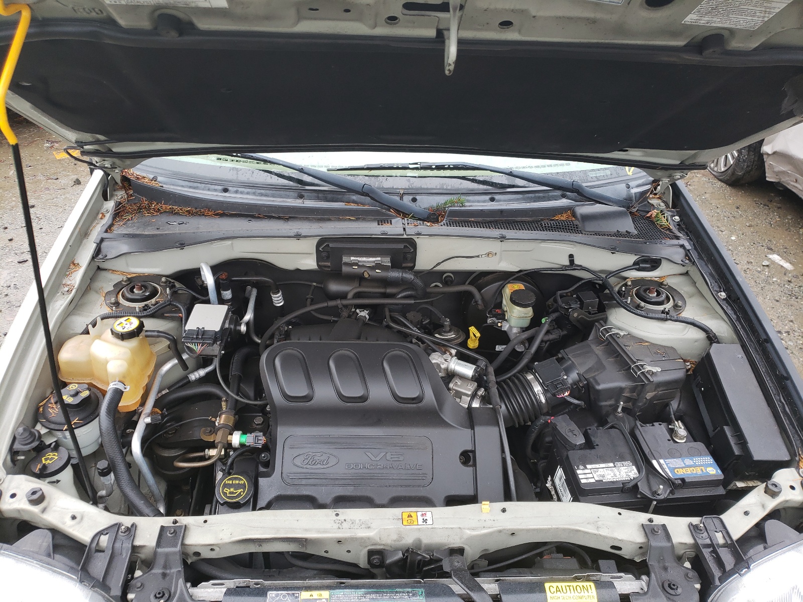 Photo 7 from auction – 2003 FORD ESCAPE XLS with VIN 1FMYU02153KB24055