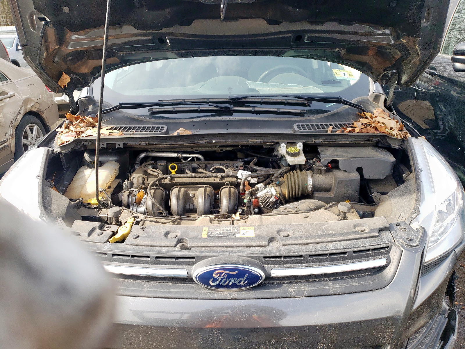 Photo 7 from auction – 2016 FORD ESCAPE SE with VIN 1FMCU0G75GUC91985