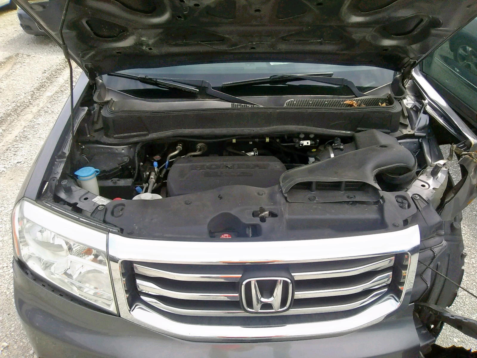Photo 7 from auction – 2014 HONDA PILOT EXL with VIN 5FNYF3H5XEB008411