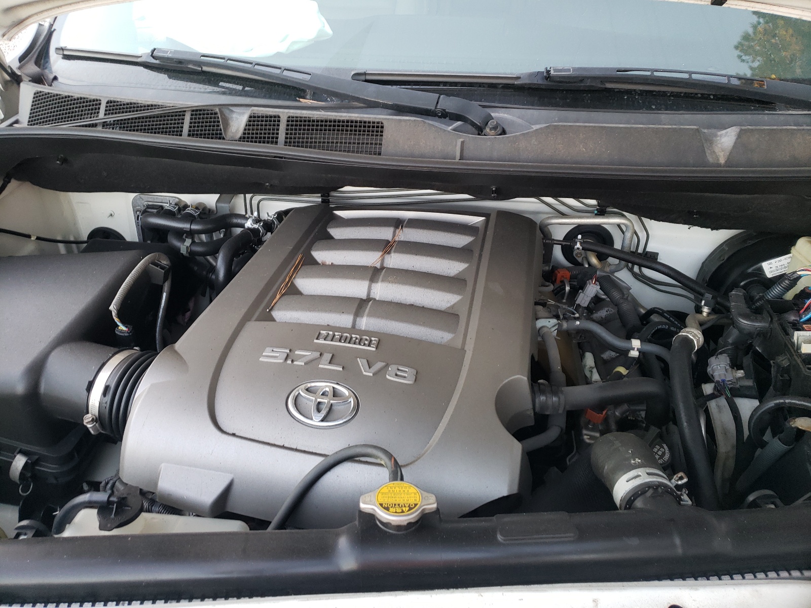 Photo 7 from auction – 2008 TOYOTA SEQUOIA SR with VIN 5TDZY64A78S000169