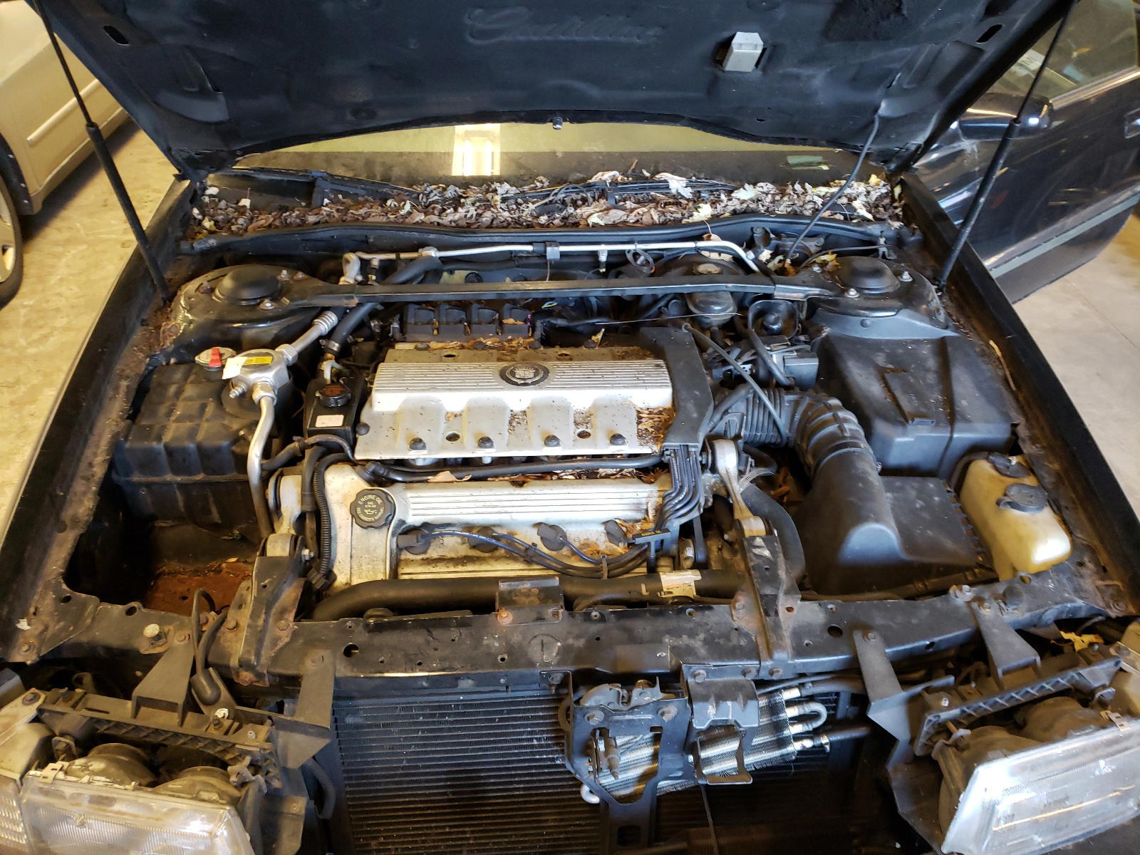 Photo 7 from auction – 1994 CADILLAC ELDORADO with VIN 1G6EL12Y7RU623887