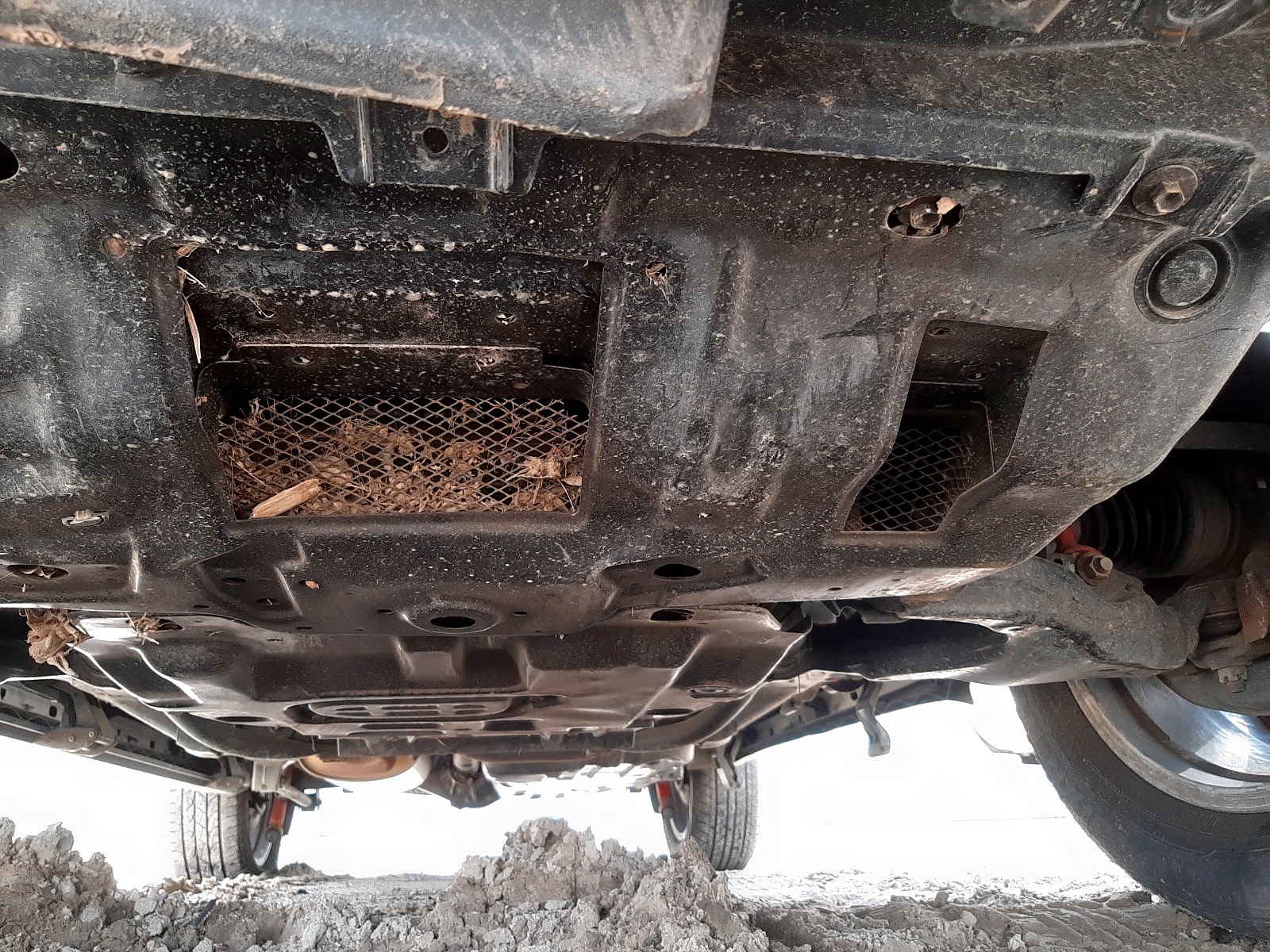 Photo 10 from auction – 2018 TOYOTA 4RUNNER SR with VIN JTEBU5JR1J5576736