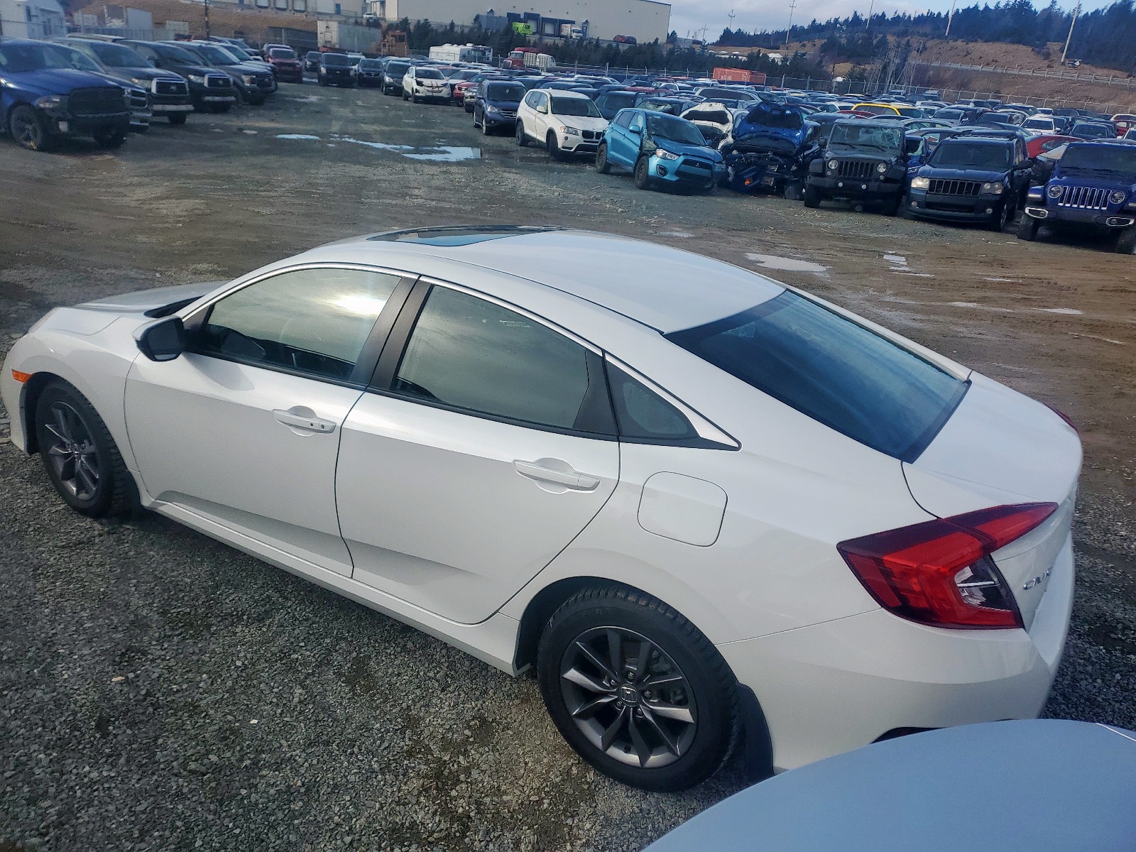 Photo 3 from auction – 2021 HONDA CIVIC EX with VIN 2HGFC2F76MH004252
