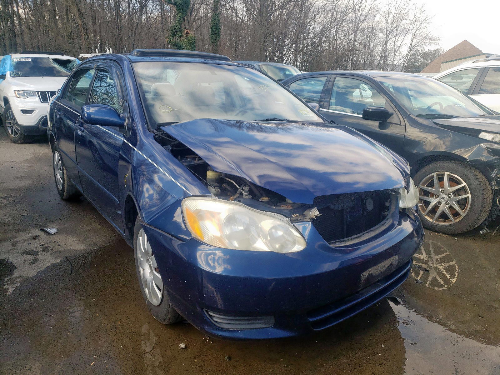 TOYOTA COROLLA CE 2004 with VIN 2T1BR32E14C238329 - Photo from auction