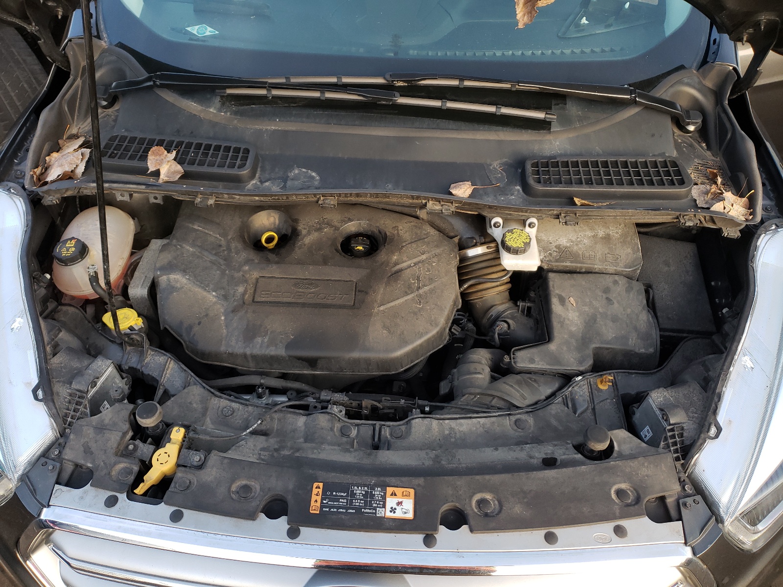 Photo 7 from auction – 2017 FORD ESCAPE SE with VIN 1FMCU0G95HUE33979