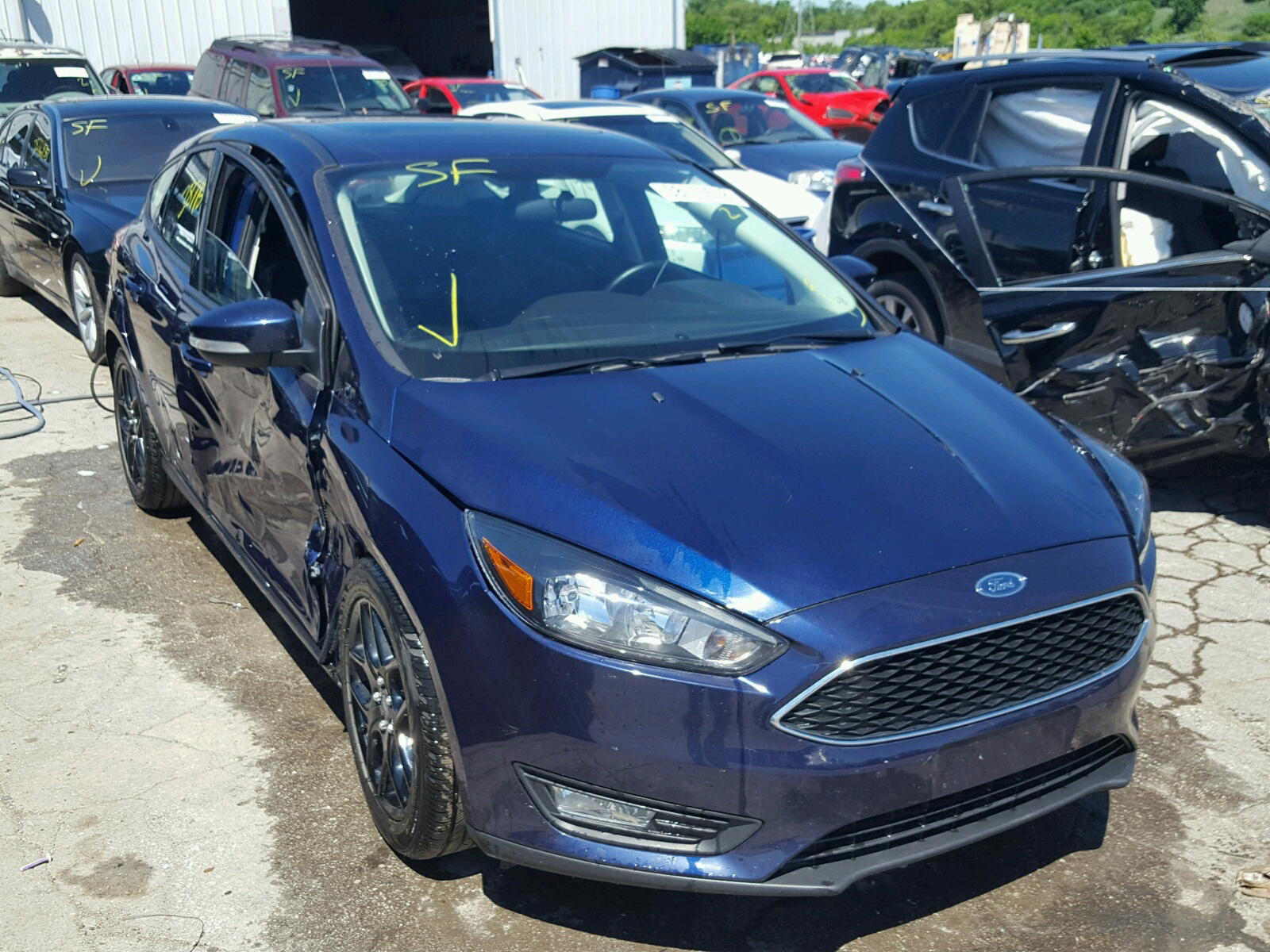 FORD FOCUS SE 2016 with VIN 1FADP3K2XGL224548 - Photo from auction