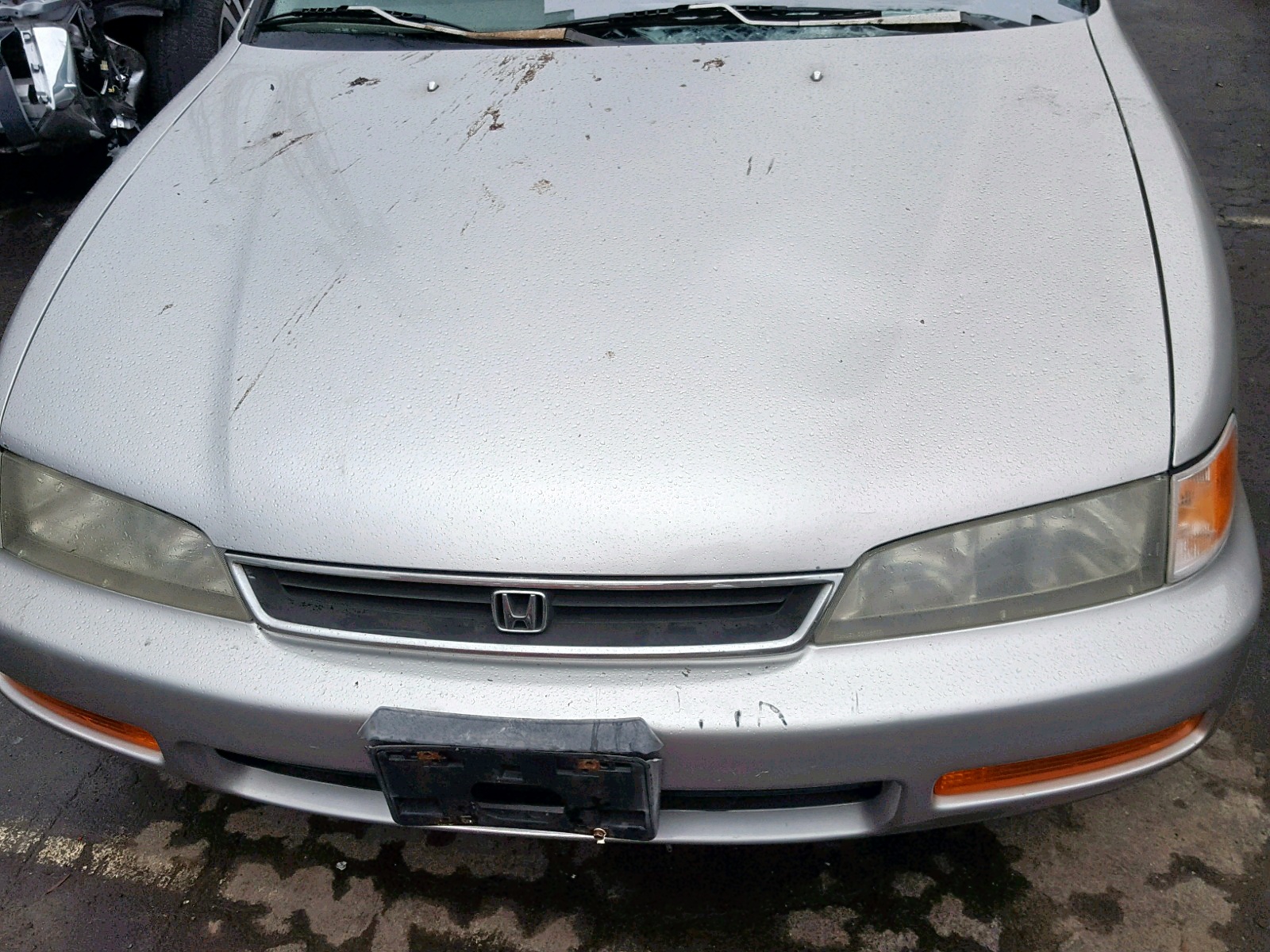 Photo 7 from auction – 1996 HONDA ACCORD EX with VIN 1HGCD5656TA060981