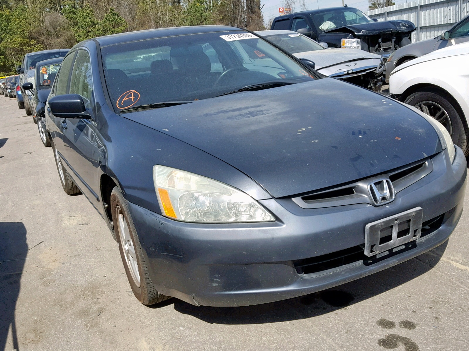 Photo 1 from auction – 2003 HONDA ACCORD EX with VIN 1HGCM56603A093984