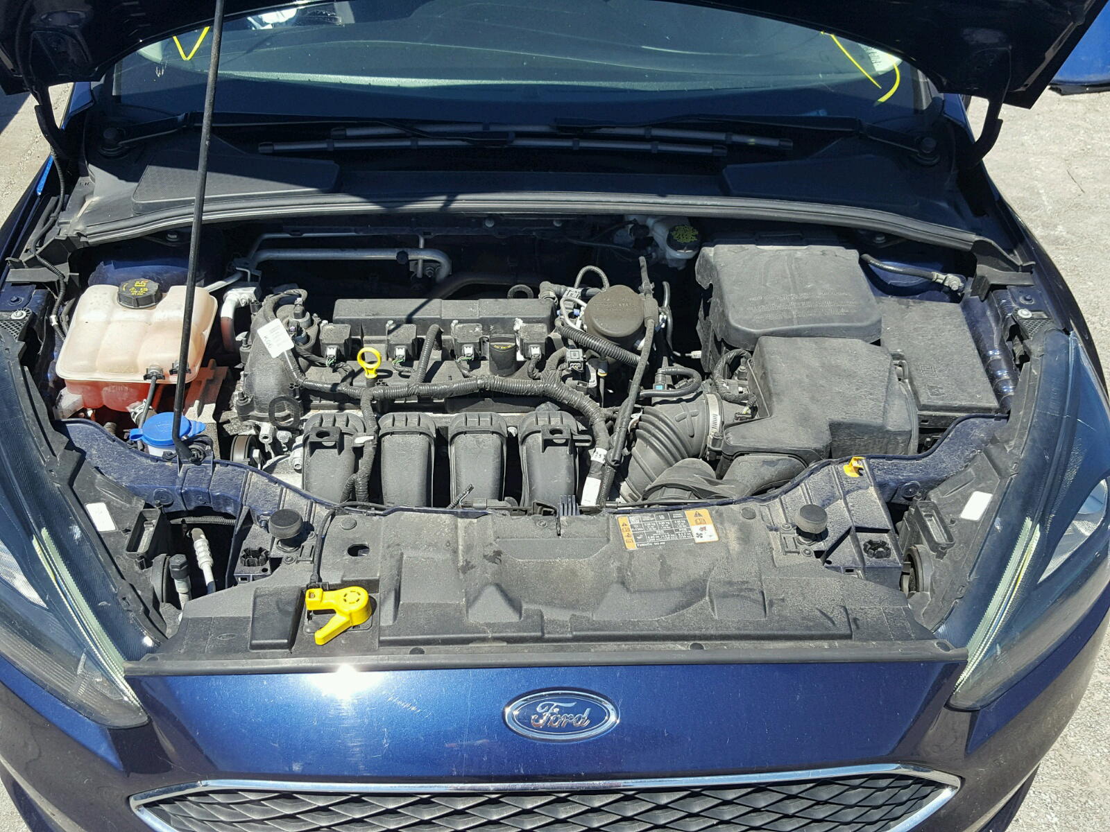 Photo 7 from auction – 2016 FORD FOCUS SE with VIN 1FADP3K2XGL224548